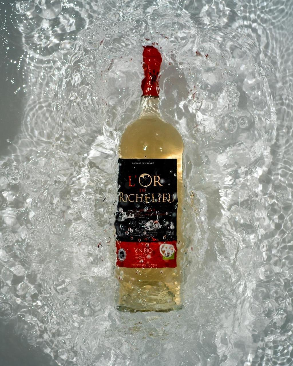 Chateau Richelieu Fronsac  Zewnętrze zdjęcie