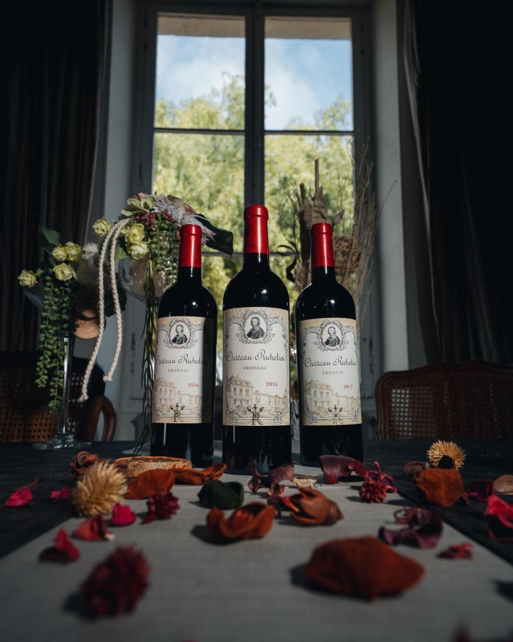 Chateau Richelieu Fronsac  Zewnętrze zdjęcie