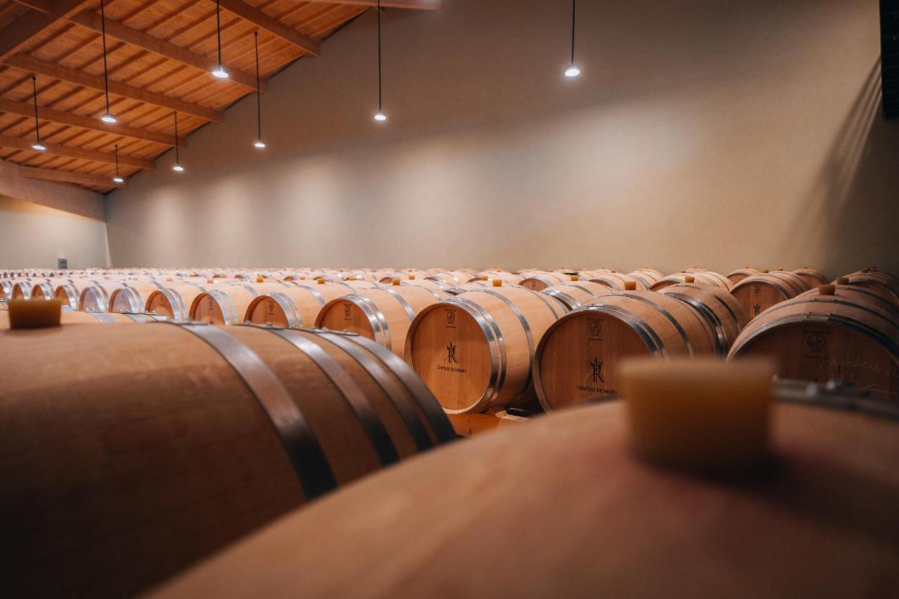 Chateau Richelieu Fronsac  Zewnętrze zdjęcie